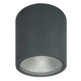 CH-4186 Case 20w Round Outdoor Surface Lights